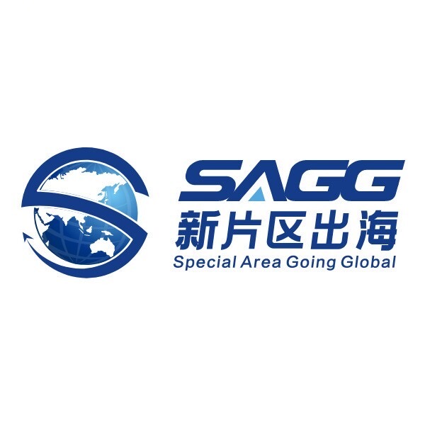 临港新片区走出去综合服务平台