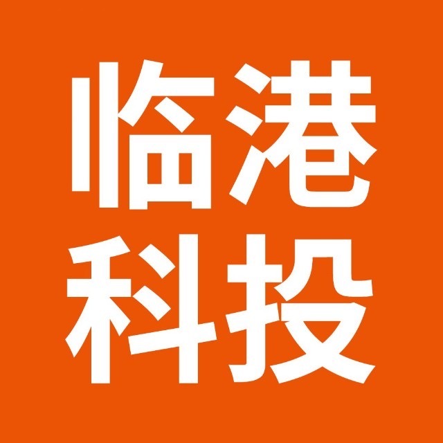 临港科投
