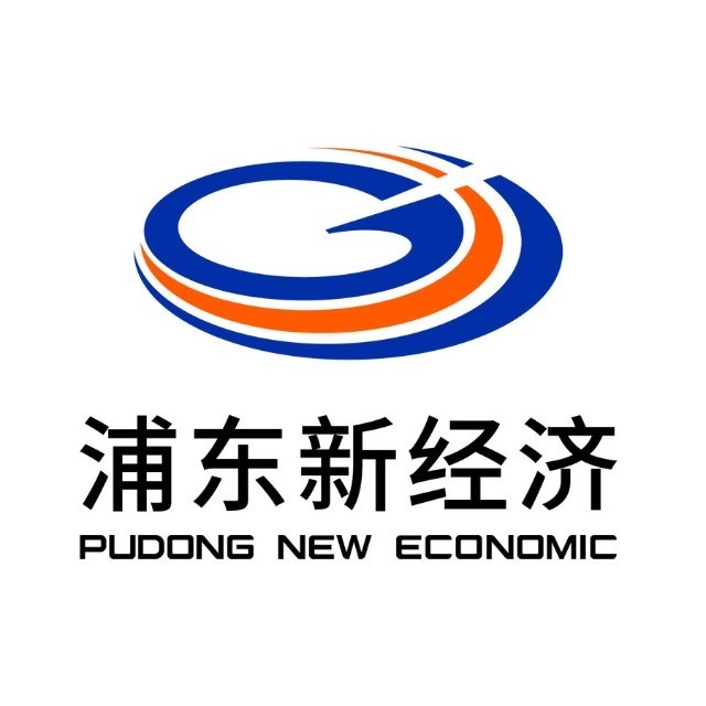 临港浦东新经济公司