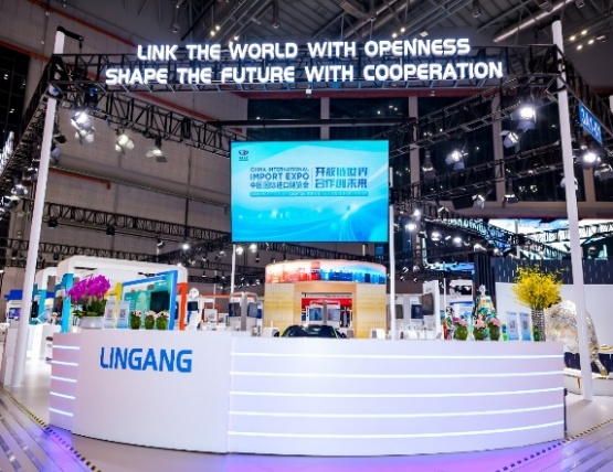 创新参展机制参加第六届、第七届中国国际进口博览会