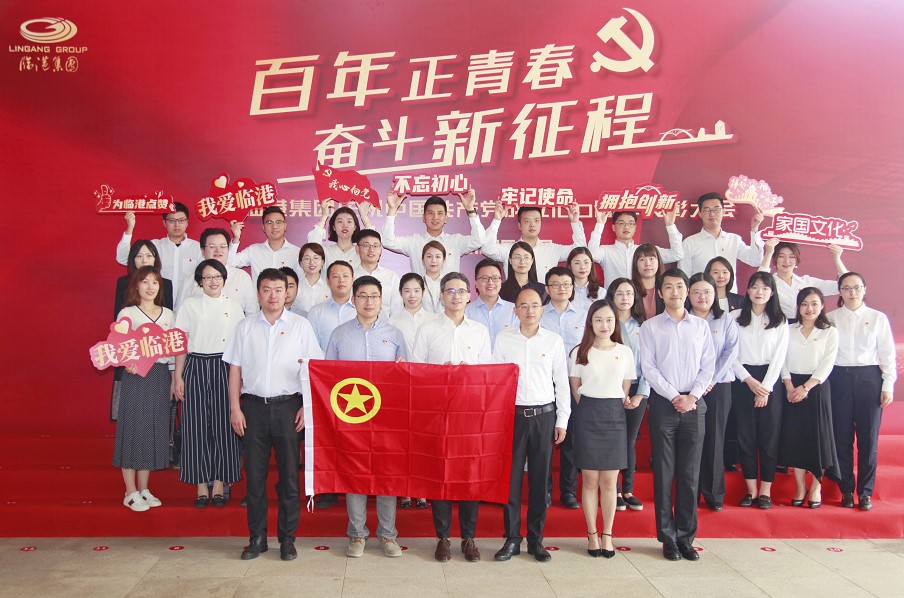 团情动态