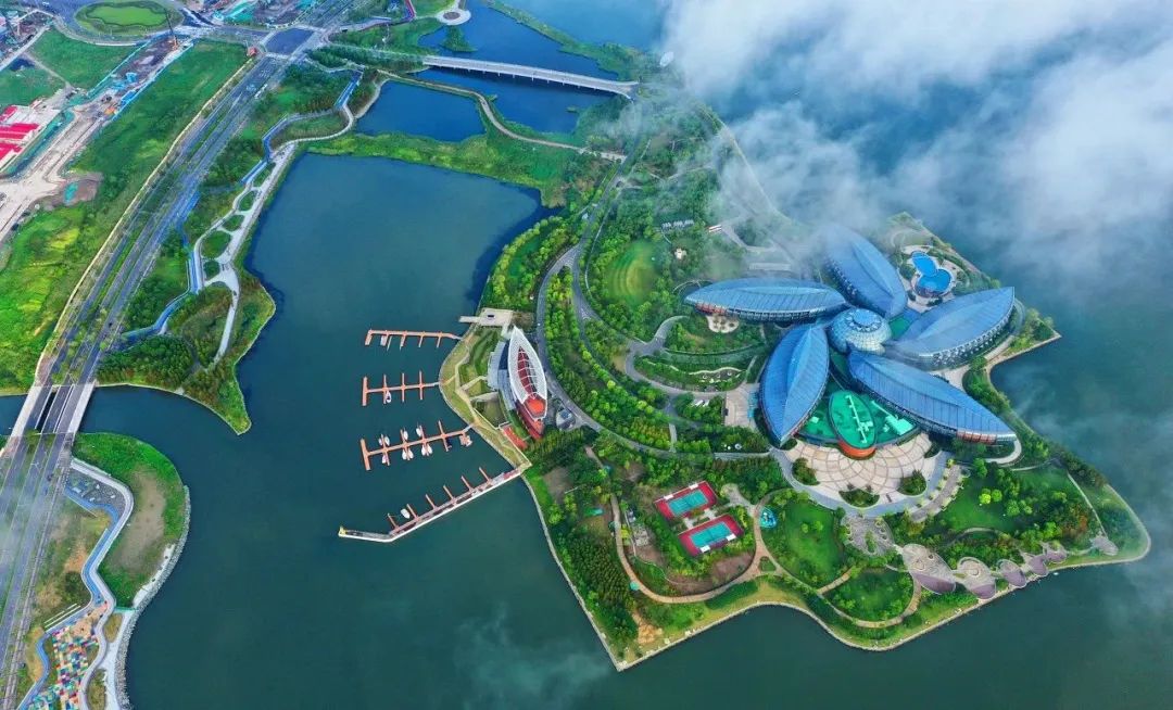 "临港新片区深圳推介会"举办,我们与您相约在临港!