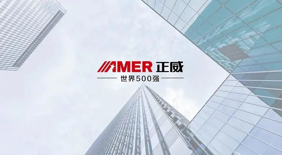 世界500强正威国际集团落户新片区,将建综合贸易功能平台