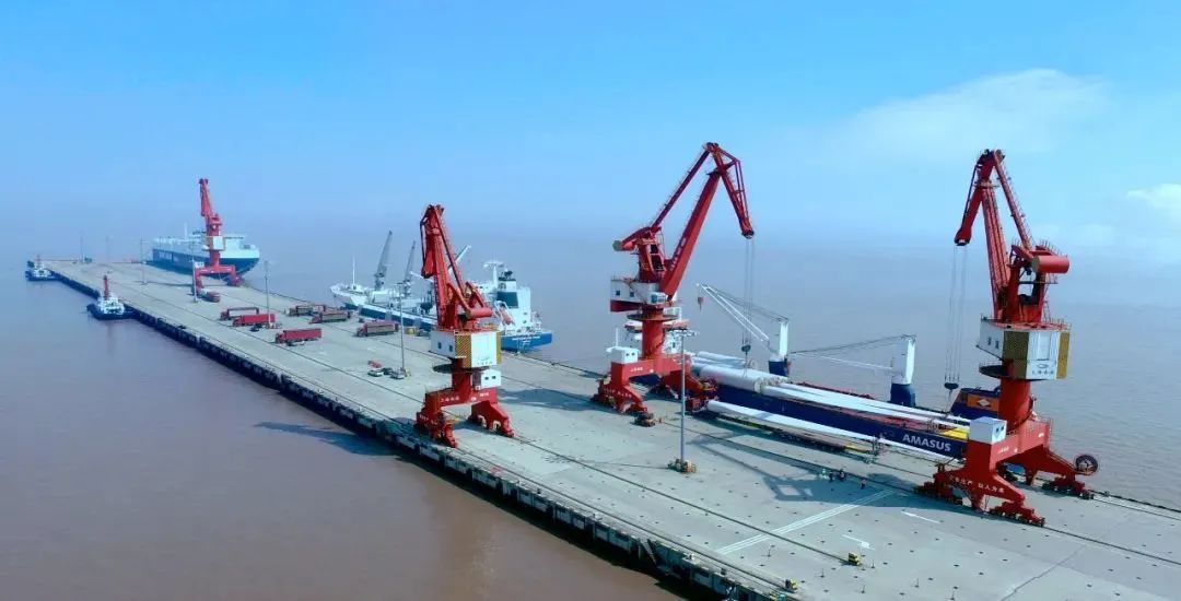 新起点新征程临港新片区举行南港码头群高品质建设运营推进会