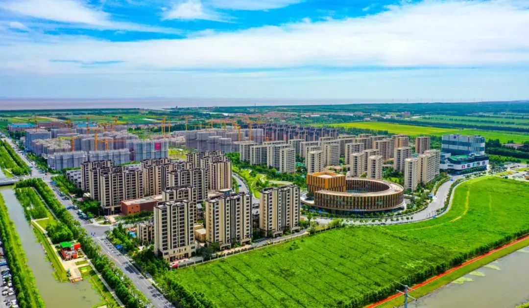 唤醒蓝湾活力熟悉的烟火气正在归来临港蓝湾凸显产城融合优势稳步推进