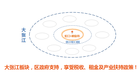 大张江政策