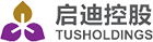 启迪控股股份有限公司