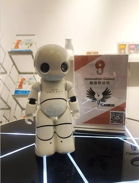 ▲小笨机器人