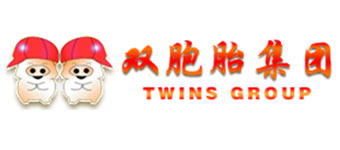 双胞胎集团